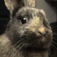 HeN.Le Super Fluffy's Stream profile image