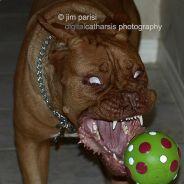 ricardo.pederoda's - Steam avatar