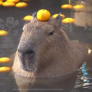 Sky's Stream profile image