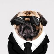 Ephien the Pug's Stream profile image