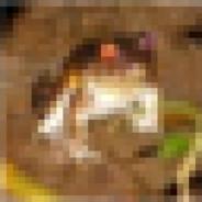 smeerbalpindakaas's Stream profile image