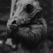 PoothTaste's Stream profile image