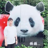 甜辣丫头's Stream profile image