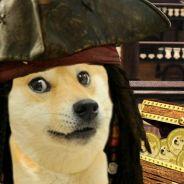 capn doge's Stream profile image