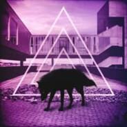 Echo's Stream profile image