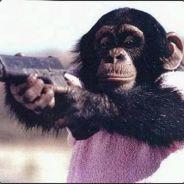 Slimtim101's - Steam avatar
