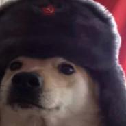 the communist dog's Stream profile image