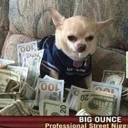 Extreme Jimson's Stream profile image