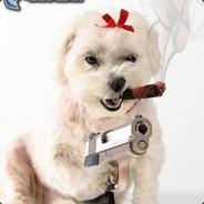 Bazi_cz's Stream profile image