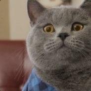 Fräsarfrasse's - Steam avatar