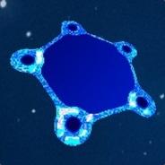 Scyter's - Steam avatar