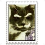 Сhanterelles's Stream profile image