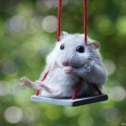 Mahtihamsteri's Stream profile image