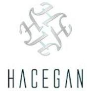 HaCeGaN's - Steam avatar