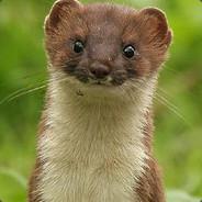 ThomasTheTan's - Steam avatar