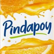 PindaPoy's - Steam avatar