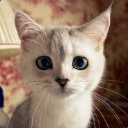 ct)'s - Steam avatar