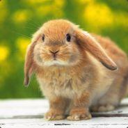 foufouneAtomique's - Steam avatar