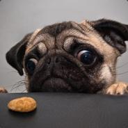 Elmo Caso's Stream profile image