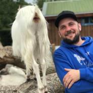 Tippleberry's Stream profile image