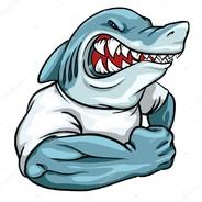 GULF's Stream profile image