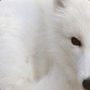 Fox's - Steam avatar