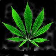 Psych0wnx3's - Steam avatar