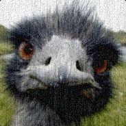 Emufarmers's - Steam avatar