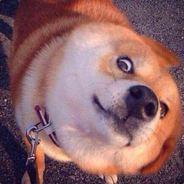 PGONE's - Steam avatar