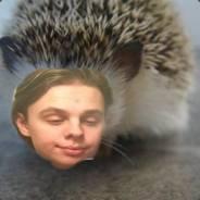 [FISH] sir Fish's Stream profile image