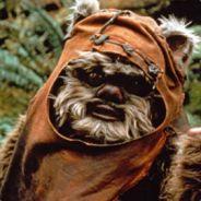 ✪ Stay Ewok's - Steam avatar