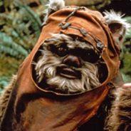 ✪ Stay Ewok's Stream profile image