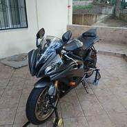 YzfR1's Stream profile image