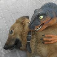 raptor whisperer's Stream profile image