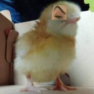 Atomichicken's Stream profile image