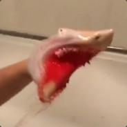 Spicy Shark's - Steam avatar