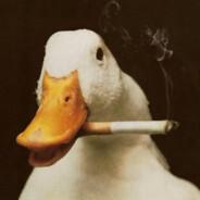 Duck🦆's - Steam avatar