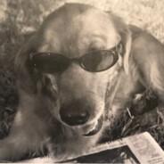 Oldenfire's Stream profile image