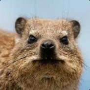 $$$badger's - Steam avatar