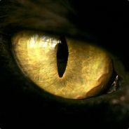 Zarou's - Steam avatar