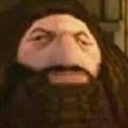 Maxi's Stream profile image
