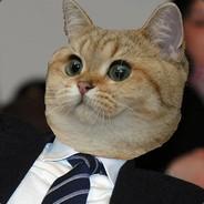 wurstwasser's Stream profile image