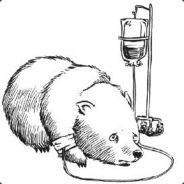 Wombat Warrior's - Steam avatar