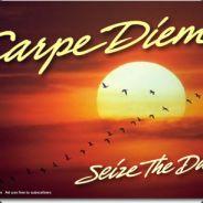 Carpe Diem's - Steam avatar