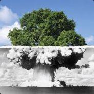 [ZZBB] PowPow's - Steam avatar
