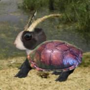 Bardle's Stream profile image