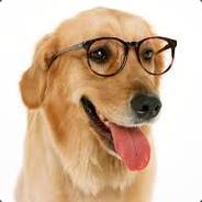 SUPERDOG's Stream profile image