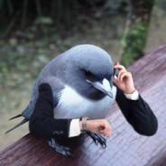 nicolas_ar01's Stream profile image