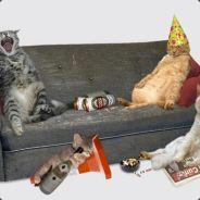 bahama libre's Stream profile image