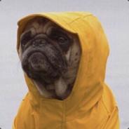 French Bulldog's Stream profile image